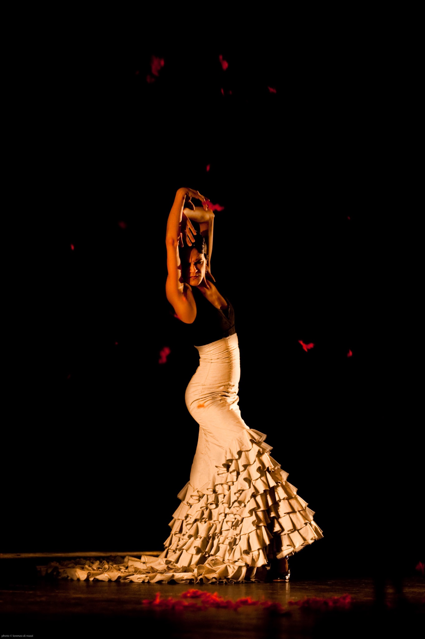 091120_flamenco_040